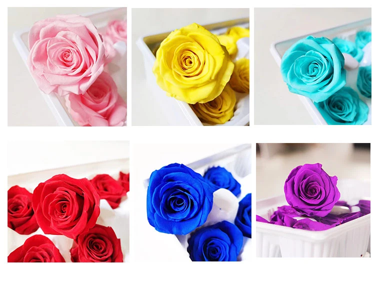 colorful flower colorful flower
