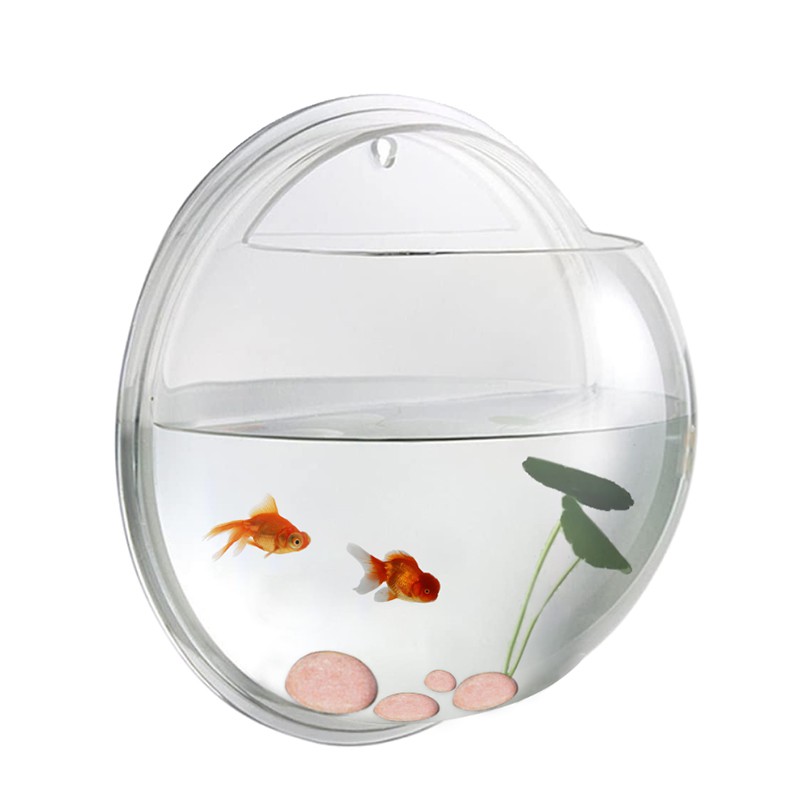 Aquariums en acrylique